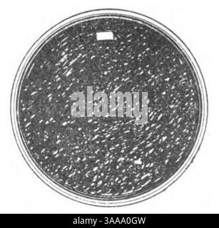 I principii scientifici del divisionismo (page 218 crop) fig.72. Banque D'Images