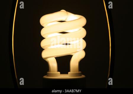 24 juillet 2006 ; San Francisco, CA, États-Unis ; les ampoules fluorescentes compactes (LFC) écoénergétiques consomment 66 % moins d'énergie qu'une ampoule à incandescence standard et durent jusqu'à 10 fois plus longtemps. Le remplacement d'une lampe à incandescence de 100 watts par une lampe fluocompacte de 32 watts peut vous faire économiser au moins 30 $ en coûts d'énergie pendant toute la durée de vie de l'ampoule. Crédit obligatoire : photo de Krista Kennell/ZUMA Press. (©) Copyright 2006 par Krista Kennell Banque D'Images