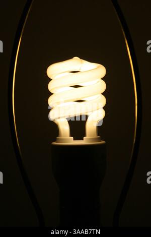 24 juillet 2006 ; San Francisco, CA, États-Unis ; les ampoules fluorescentes compactes (LFC) écoénergétiques consomment 66 % moins d'énergie qu'une ampoule à incandescence standard et durent jusqu'à 10 fois plus longtemps. Le remplacement d'une lampe à incandescence de 100 watts par une lampe fluocompacte de 32 watts peut vous faire économiser au moins 30 $ en coûts d'énergie pendant toute la durée de vie de l'ampoule. Crédit obligatoire : photo de Krista Kennell/ZUMA Press. (©) Copyright 2006 par Krista Kennell Banque D'Images