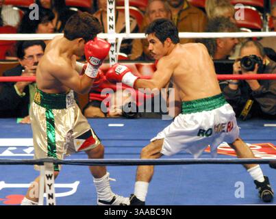 18 novembre 2006 ; Las Vegas, Nevada, États-Unis ; OMAR NINO (R) du Mexique affronte BRIAN VILORIA d'Hawaï dans leur combat WBC World Mini Flyweight Title à Las Vegas, Nevada. Nino remporte la bataille de 12 rondes. Crédit obligatoire : photo de Barry Sweet/ZUMA Press. (©) Copyright 2006 par Barry Sweet Banque D'Images