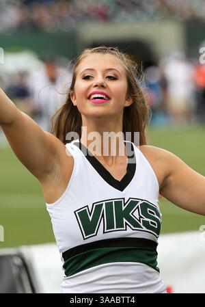 17 octobre 2015 : une pom-meneuse des Vikings de l'État de Portland divertit les fans pendant le match de football NCAA entre les Vikings et les Bobcats de l'État de Montana à Providence Park, Portland, OREGON. Larry C. Lawson/CSM(crédit image : © Larry C. Lawson/CSM via ZUMA Wire) Banque D'Images