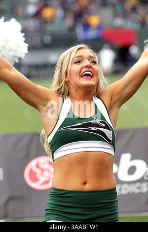 17 octobre 2015 : une pom-meneuse des Vikings de l'État de Portland divertit les fans pendant le match de football NCAA entre les Vikings et les Bobcats de l'État de Montana à Providence Park, Portland, OREGON. Larry C. Lawson/CSM(crédit image : © Larry C. Lawson/CSM via ZUMA Wire) Banque D'Images