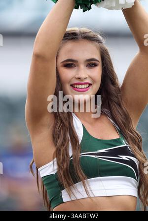 17 octobre 2015 : une pom-meneuse des Vikings de l'État de Portland divertit les fans pendant le match de football NCAA entre les Vikings et les Bobcats de l'État de Montana à Providence Park, Portland, OREGON. Larry C. Lawson/CSM(crédit image : © Larry C. Lawson/CSM via ZUMA Wire) Banque D'Images