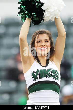 17 octobre 2015 : une pom-meneuse des Vikings de l'État de Portland divertit les fans pendant le match de football NCAA entre les Vikings et les Bobcats de l'État de Montana à Providence Park, Portland, OREGON. Larry C. Lawson/CSM(crédit image : © Larry C. Lawson/CSM via ZUMA Wire) Banque D'Images