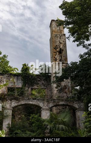Ruines de Caneel Bay sur le produit John Banque D'Images