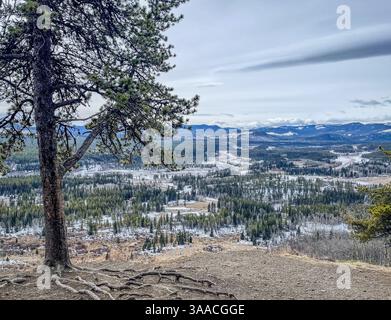 Vue grand angle d'une vallée de montagne enneigée, encadrée par un arbre aux racines exposées, mettant en valeur un vaste paysage naturel. Banque D'Images