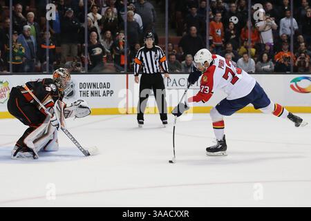 4 novembre 2015 : le centre des Panthers de la Floride Brandon Pirri #73 marque un but dans la fusillade contre le gardien des Ducks d'Anaheim Frederik Andersen #31 dans le match entre les Panthers de la Floride et les Ducks d'Anaheim, Honda Center à Anaheim, CA. Photographe Peter Joneleit pour Cal Sport Media. (Crédit image : © Peter Joneleit/CSM via ZUMA Wire) Banque D'Images
