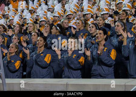 07 novembre 2015 : les bénévoles du Tennessee encouragent les membres du groupe pendant le match de football de la NCAA entre les bénévoles de l'Université du Tennessee et les Gamecocks de Caroline du Sud au Neyland Stadium de Knoxville, TN Tim Gangloff/CSM(crédit image : © photographe :Tim Gangloff/CSM via ZUMA Wire) Banque D'Images