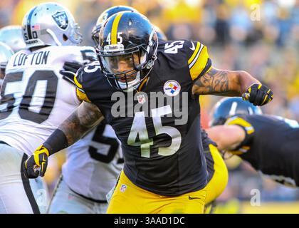 8 novembre 2015 - Pittsburgh, Pennsylvanie, U. S - Pittsburgh Steelers Fullback ROOSEVELT NIX (45) cherchant à faire un jeu sur un retour d'équipes spéciales. (Crédit image : © Brian Kunst via ZUMA Wire) Banque D'Images