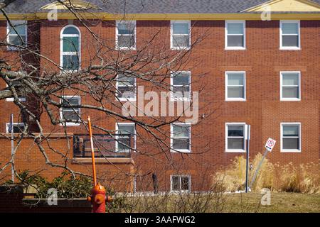 Un bâtiment avec des branches d'arbres à l'avant dans le centre-ville de l'île-du-Prince-édouard Canada. Photo de haute qualité Banque D'Images