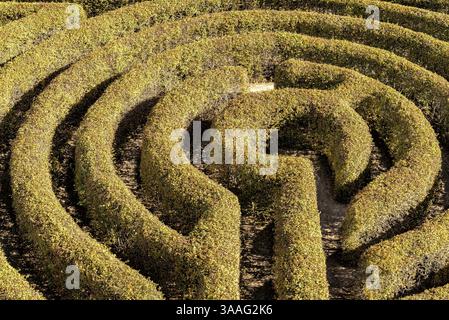 Labyrinthe dans un jardin botanique en Pologne Banque D'Images