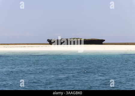 Île Wasini et parc national marin de Kisite-Mpunguti, Kenta, Afrique, Kenya, Afrique Banque D'Images