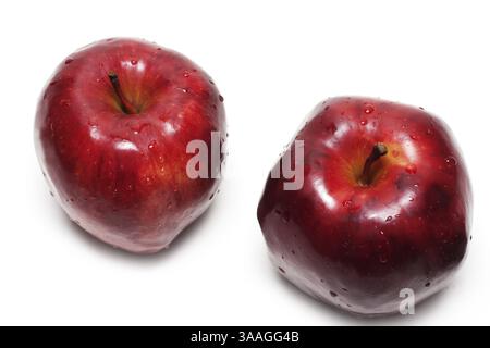Deux pommes avec goutte d'eau isolée sur fond blanc Banque D'Images