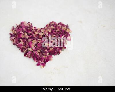 Vue rapprochée de pétales de rose rouge séchés disposés en forme de cœur. Mise au point sélective. Concept romantique et amoureux pour la Saint-Valentin Banque D'Images