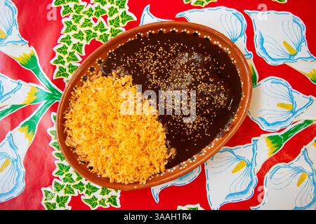Un plat traditionnel de poterie en argile avec taupe et poulet de Puebla, un plat traditionnel de la ville de Puebla, au Mexique. Servi avec des tortillas de maïs. Banque D'Images