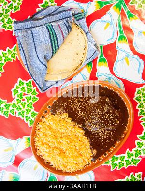 Un plat traditionnel de poterie en argile avec taupe et poulet de Puebla, un plat traditionnel de la ville de Puebla, au Mexique. Servi avec des tortillas de maïs. Banque D'Images