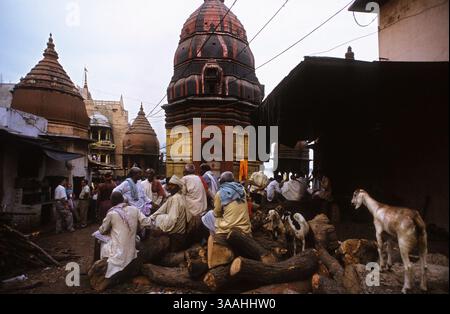 Sep 12, 2015 - Varanasi, Uttar Pradesh, Inde - Asie Inde Uttar Pradesh Varanasi Manikarnika Ghat utilisé pour les cérémonies de crémation hindoues. Varanasi, Uttar Pradesh, Inde. Manikarnika Ghat a une grande signification non seulement dans la mythologie hindoue et le mode de vie, mais aussi dans les philosophies de la vie et de la mort. Manikarnika est fondamentalement un Ghat de crémation. Il est intéressant de savoir que les Ghats de crémation sont généralement placés en dehors de la ville principale, car ils sont considérés comme inauspicieux. Néanmoins, ce n'est pas vrai dans le cas de Varanasi où Manikarnika est situé tout à fait au milieu de la ville elle-même. Th Banque D'Images