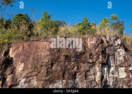 Les arbres poussent sur une falaise rocheuse aride haute. Falaise rocheuse. Paysage avec des falaises, des rochers, des arbres, des montagnes par une journée ensoleillée dans le parc national au Vietnam. Voyage Banque D'Images