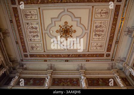 Saint-Pétersbourg, Russie - 16 août 2024 : intérieur du manoir du comte Zubov, Institut russe d'histoire de l'Art. Plafond d'origine préservé dans l'un des Banque D'Images