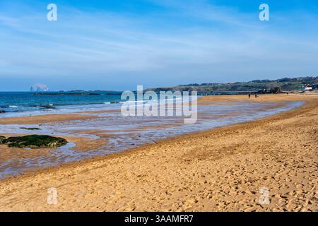 Milsey Bay Beach à marée basse, avec la colonie d'oiseaux de mer de Bass Rock à distance, à North Berwick, East Lothian, Écosse, Royaume-Uni Banque D'Images