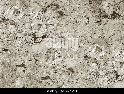Surface de pierre grise rugueuse montrant des textures et des motifs naturels pour le fond ou le papier peint Banque D'Images