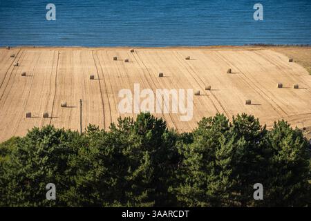 Balles de foin dans une ferme au bord de la mer Banque D'Images