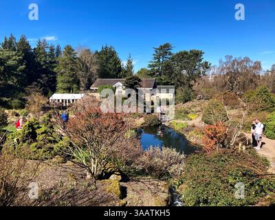 Édimbourg, Écosse, Royaume-Uni. 1er avril 2025. Le soleil chaud du printemps et les températures de 16 °C attirent les visiteurs au jardin botanique. Rocky Garden. Crédit : Craig Brown/Alamy Live News Banque D'Images
