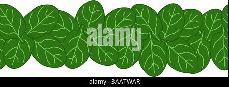 Feuilles d'épinards verts bordure horizontale sans couture cadre de légumes feuillus, mise en boîte, bordures. modèle de carte. Bannières d'illustration plate vectorielle, imprimer pour Illustration de Vecteur