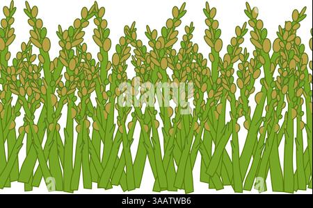 Asperges végétales vertes bordure horizontale sans couture. Imprimé végétarien biologique frais pour la cuisine, le menu, la conception de l'emballage alimentaire avec chou, courgettes, oignon. Illustration de Vecteur