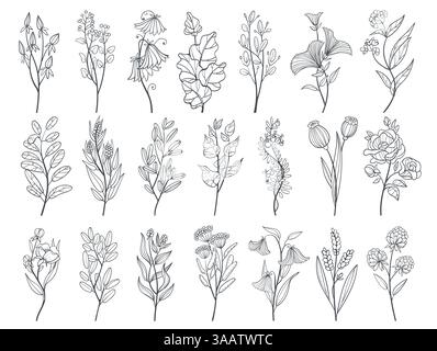 Branches florales linéaires. Brindilles décoratives avec des feuilles et des fleurs, éléments de conception botanique, plantes dessinées à la main, herbes, rose élégante et lavande Illustration de Vecteur