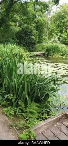 Yarrow Valley Park / Bircacre, Chorley, Lancashire, Royaume-Uni Banque D'Images