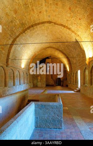 France, Var, le Thoronet, Thoronet Abbaye cistercienne du XIIe siècle France, Var (83), le Thoronet, abbaye cistercienne du Thoronet du XII siècle, le dortoir des moines Banque D'Images