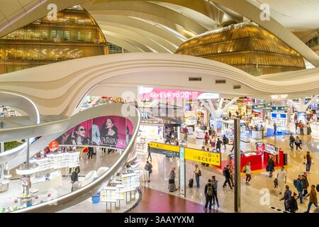 Émirats arabes Unis, Abu Dhabi, le nouvel aéroport international de Zayed (2023), terminal A. Banque D'Images