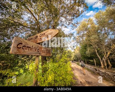 Espagne, Îles Baléares, Majorque, Pollença, Serra de Tramuntana site du patrimoine mondial de l'UNESCO, sur le GR221 Banque D'Images