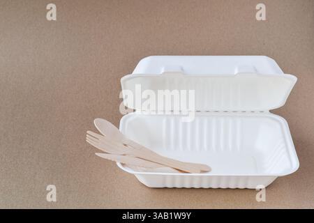 Ustensiles en bambou biodégradables à usage unique à l'intérieur d'un récipient de sortie vide Banque D'Images