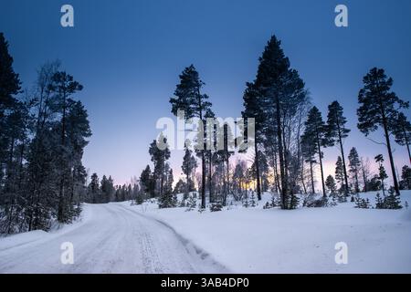 Paysage d'hiver avec de grands arbres le long d'une route enneigée pendant le lever du soleil en Laponie, Finlande Banque D'Images