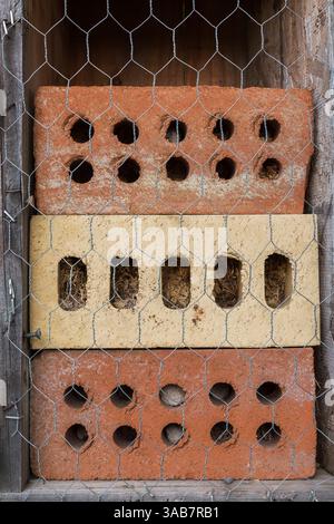 Bug Hotel fait de briques d'argile avec des trous forés pour les insectes à cacher et hiberner, Québec, Canada Banque D'Images