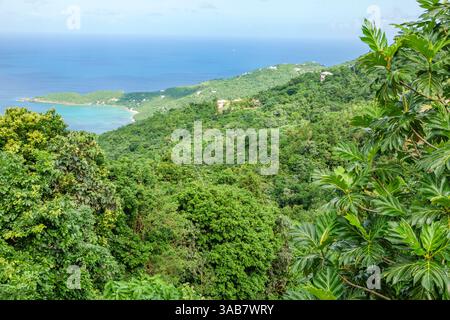 Road Town Tortola, îles Vierges britanniques BVI, Ridge Road, Anderson point, Brewers Bay, colonne vertébrale de la chaîne de montagnes centrale, vue sur la colline tropicale, vue panoramique Banque D'Images