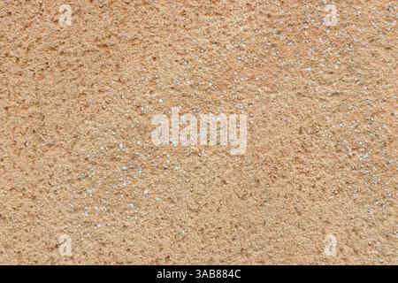 Texture du mur beige recouvert de plâtre calcaire, de sable naturel et de matériau de couverture en pierre, fond pour papiers peints ou conception de web-bannière Banque D'Images