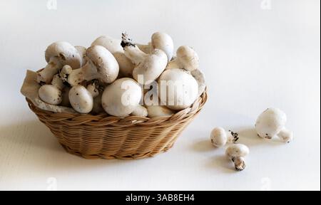 Champignons champignon frais dans un panier isolé sur un fond de bois blanc. Champignons comestibles. Nourriture végétarienne, végétalienne et saine. Copier l'espace. Banque D'Images