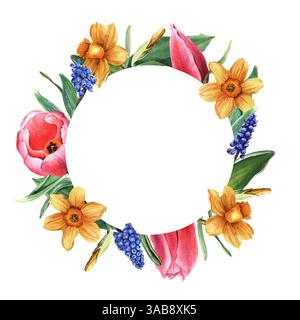 Cadre rond, couronne avec jonquilles jaunes, narcissi, tulipes roses et jacinthe de raisin bleu, Muscari. Illustration d'aquarelle botanique dessinée à la main Banque D'Images