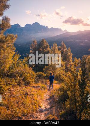 Un randonneur solitaire se tient au milieu d'une forêt luxuriante, contemplant une chaîne de montagnes lointaine sous un lever de soleil chaud et doré dans les Pyrénées. La scène capture le tran Banque D'Images