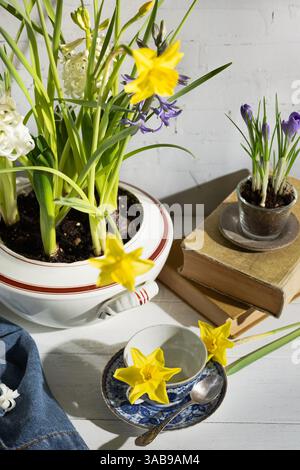 Fleurs printanières luxuriantes, y compris jonquilles et jacinthes, artistiquement disposées dans une tureen de soupe vintage rayée rouge et blanche sur une table en bois blanc w Banque D'Images