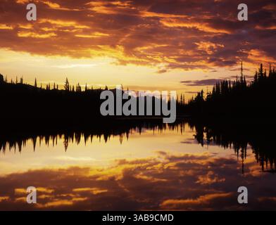 Les nuages prennent des couleurs vives au lever du soleil sur le lac Reflection dans le parc national du Mont Rainier, avec des reflets miroitants d'arbres silhouettes. Banque D'Images