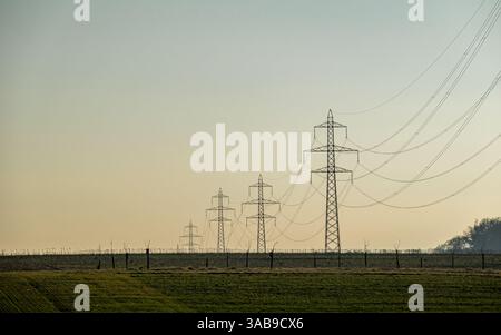 Une série de tours de transmission s'étend sur une zone rurale pendant le crépuscule. Les silhouettes des tours sont capturées contre un ciel qui s'estompe, créant un serein Banque D'Images