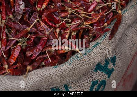 Gros plan d'un sac en toile de jute débordant de piments rouges séchés vibrants, mettant en valeur leur couleur et leur texture riches, capturées dans une marque sri-lankaise locale Banque D'Images