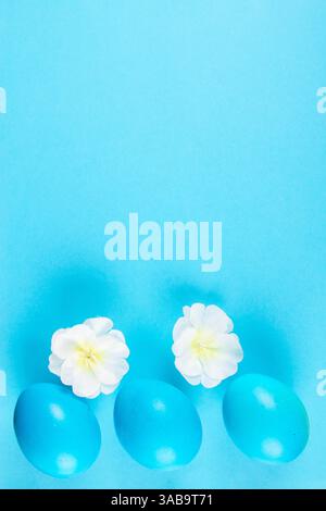 Trois oeufs de pâques bleus et deux têtes de fleurs blanches sur fond bleu avec espace de copie font la bannière de pâques attraper Eye vibrante Banque D'Images