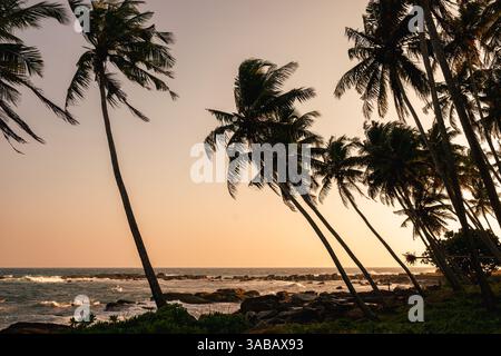 Paysage tropical côtier avec des palmiers sur fond de coucher de soleil. Les vagues de l'océan s'écrasent sur des rivages rocheux sous des palmiers silhouettes. Journée mondiale de l'océan. Banque D'Images
