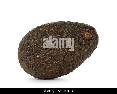 Avocat couchant les côtés. Isolé sur fond blanc Banque D'Images