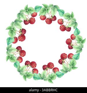 Couronne de framboises aquarelle Banque D'Images